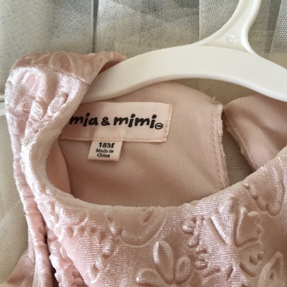 BNWT 18mo Dress with floral velvet and tulle - Picture 5 of 5